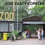 zoo_1